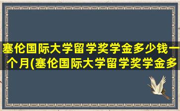 塞伦国际大学留学奖学金多少钱一个月(塞伦国际大学留学奖学金多少钱)