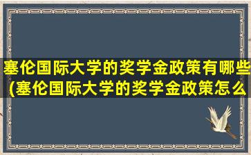 塞伦国际大学的奖学金政策有哪些(塞伦国际大学的奖学金政策怎么样)