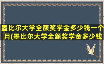 墨比尔大学全额奖学金多少钱一个月(墨比尔大学全额奖学金多少钱啊)