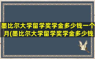 墨比尔大学留学奖学金多少钱一个月(墨比尔大学留学奖学金多少钱啊)