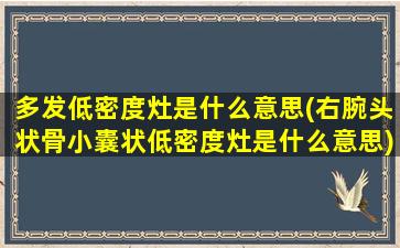 多发低密度灶是什么意思(右腕头状骨小囊状低密度灶是什么意思)