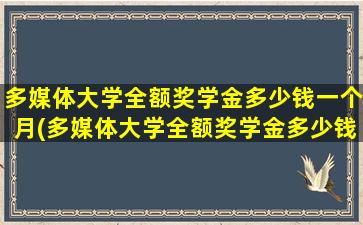 多媒体大学全额奖学金多少钱一个月(多媒体大学全额奖学金多少钱啊)