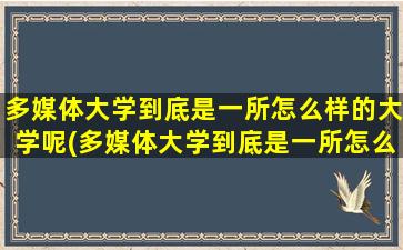 多媒体大学到底是一所怎么样的大学呢(多媒体大学到底是一所怎么样的大学呢英文)