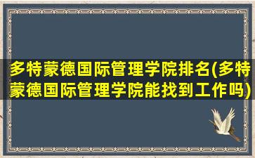 多特蒙德国际管理学院排名(多特蒙德国际管理学院能找到工作吗)