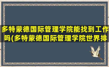 多特蒙德国际管理学院能找到工作吗(多特蒙德国际管理学院世界排名)