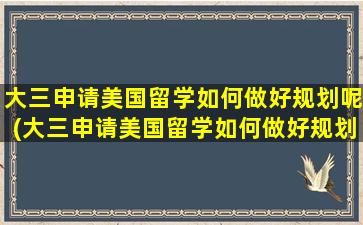 大三申请美国留学如何做好规划呢(大三申请美国留学如何做好规划准备)