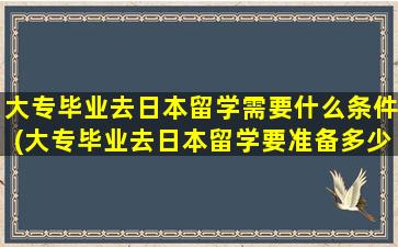 大专毕业去日本留学需要什么条件(大专毕业去日本留学要准备多少钱)