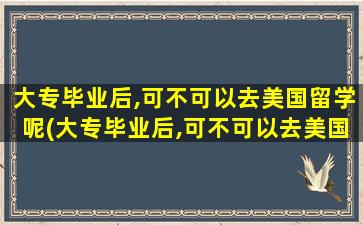 大专毕业后,可不可以去美国留学呢(大专毕业后,可不可以去美国留学呢英语)