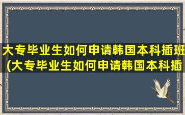 大专毕业生如何申请韩国本科插班(大专毕业生如何申请韩国本科插班硕士)