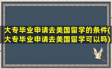 大专毕业申请去美国留学的条件(大专毕业申请去美国留学可以吗)