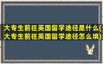 大专生前往英国留学途径是什么(大专生前往英国留学途径怎么填)