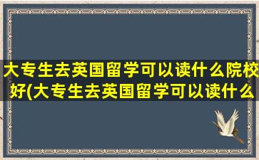 大专生去英国留学可以读什么院校好(大专生去英国留学可以读什么院校呢)