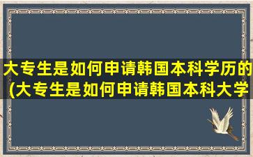 大专生是如何申请韩国本科学历的(大专生是如何申请韩国本科大学的)