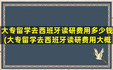 大专留学去西班牙读研费用多少钱(大专留学去西班牙读研费用大概多少)