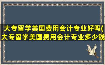 大专留学美国费用会计专业好吗(大专留学美国费用会计专业多少钱)