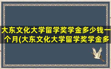 大东文化大学留学奖学金多少钱一个月(大东文化大学留学奖学金多少钱啊)