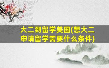 大二到留学美国(想大二申请留学需要什么条件)