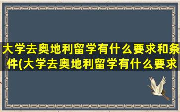 大学去奥地利留学有什么要求和条件(大学去奥地利留学有什么要求嘛)