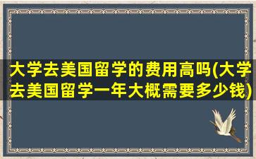 大学去美国留学的费用高吗(大学去美国留学一年大概需要多少钱)