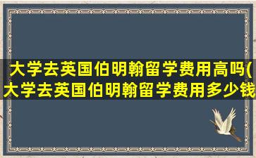 大学去英国伯明翰留学费用高吗(大学去英国伯明翰留学费用多少钱)