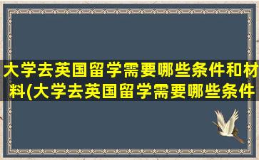 大学去英国留学需要哪些条件和材料(大学去英国留学需要哪些条件和学费)