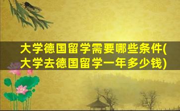 大学德国留学需要哪些条件(大学去德国留学一年多少钱)