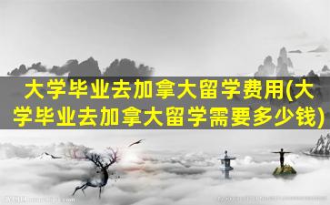 大学毕业去加拿大留学费用(大学毕业去加拿大留学需要多少钱)