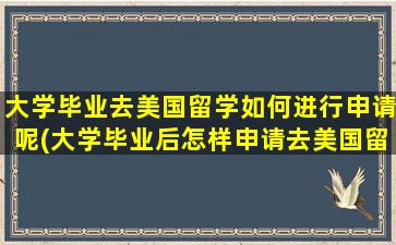 大学毕业去美国留学如何进行申请呢(大学毕业后怎样申请去美国留学-)