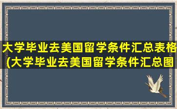 大学毕业去美国留学条件汇总表格(大学毕业去美国留学条件汇总图)