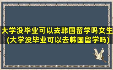 大学没毕业可以去韩国留学吗女生(大学没毕业可以去韩国留学吗)