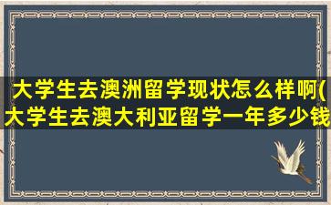 大学生去澳洲留学现状怎么样啊(大学生去澳大利亚留学一年多少钱)