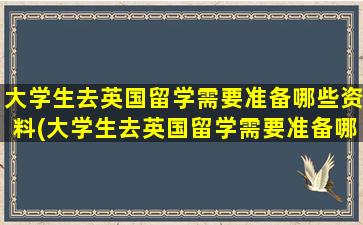 大学生去英国留学需要准备哪些资料(大学生去英国留学需要准备哪些材料)