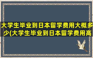 大学生毕业到日本留学费用大概多少(大学生毕业到日本留学费用高吗)