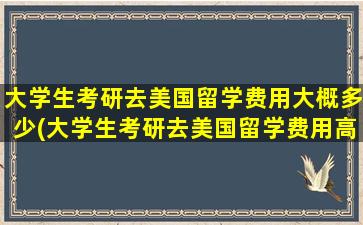 大学生考研去美国留学费用大概多少(大学生考研去美国留学费用高吗)