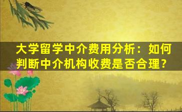 大学留学中介费用分析：如何判断中介机构收费是否合理？