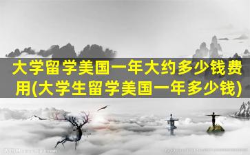 大学留学美国一年大约多少钱费用(大学生留学美国一年多少钱)