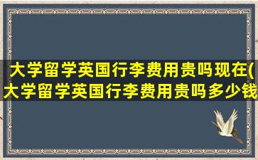 大学留学英国行李费用贵吗现在(大学留学英国行李费用贵吗多少钱)