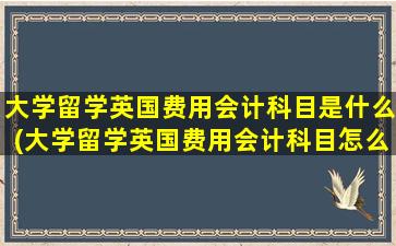 大学留学英国费用会计科目是什么(大学留学英国费用会计科目怎么填)