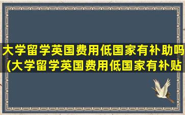 大学留学英国费用低国家有补助吗(大学留学英国费用低国家有补贴吗)