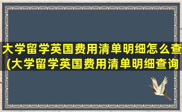 大学留学英国费用清单明细怎么查(大学留学英国费用清单明细查询)