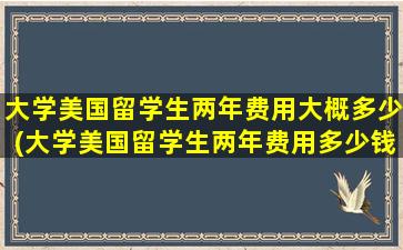 大学美国留学生两年费用大概多少(大学美国留学生两年费用多少钱)