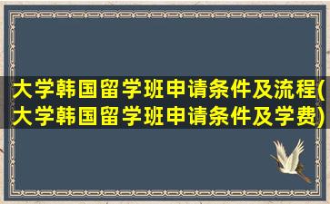 大学韩国留学班申请条件及流程(大学韩国留学班申请条件及学费)