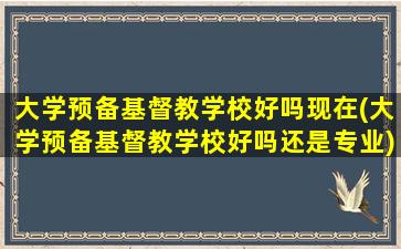 大学预备基督教学校好吗现在(大学预备基督教学校好吗还是专业)