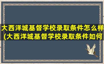 大西洋城基督学校录取条件怎么样(大西洋城基督学校录取条件如何)