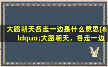 大路朝天各走一边是什么意思(“大路朝天，各走一边”是什么意思)