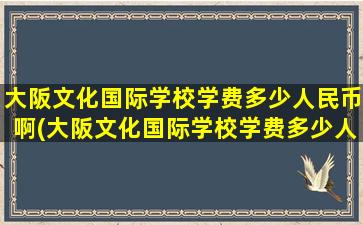 大阪文化国际学校学费多少人民币啊(大阪文化国际学校学费多少人民币一个月)