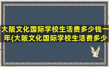 大阪文化国际学校生活费多少钱一年(大阪文化国际学校生活费多少钱啊)