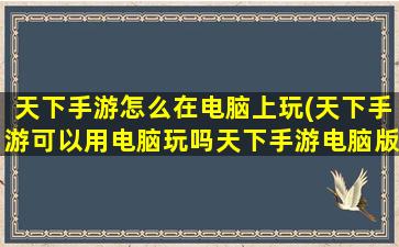 天下手游怎么在电脑上玩(天下手游可以用电脑玩吗天下手游电脑版使用安装方法教程)