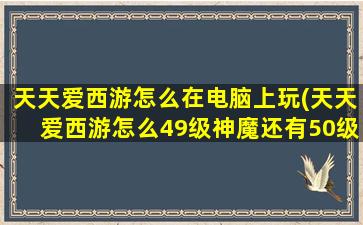 天天爱西游怎么在电脑上玩(天天爱西游怎么49级神魔还有50级玩家的)