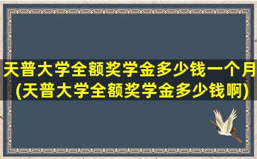 天普大学全额奖学金多少钱一个月(天普大学全额奖学金多少钱啊)